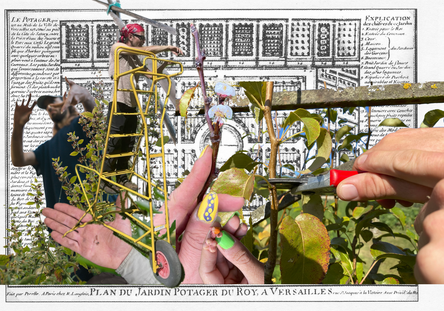 Collage par Ametonyo Silva
